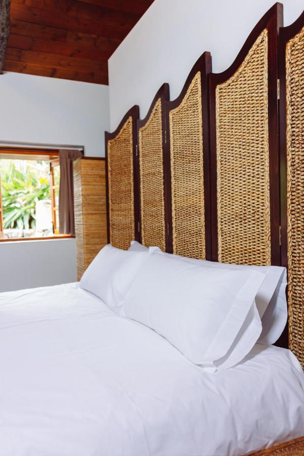 Ecoverode Hotel Emblematico Vegetariano Vegano アロナ エクステリア 写真
